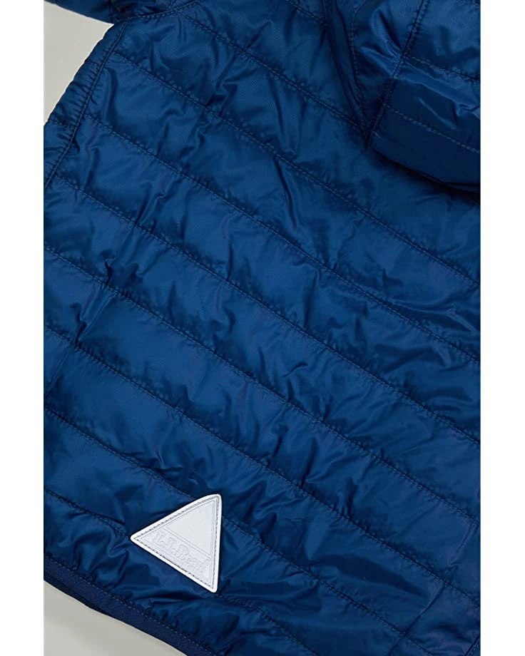 81wXTj8r7kL._AC_SR736920_.jpg L.L.Bean Coats & Outerwear Primaloft Packaway Hooded Color-Block Jacket (Toddler) -L.L.Bean Shop 81wXTj8r7kL. AC SR736920
